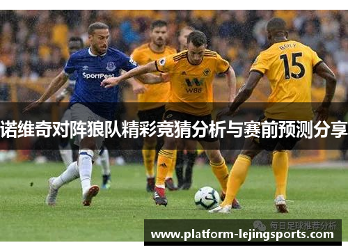 诺维奇对阵狼队精彩竞猜分析与赛前预测分享